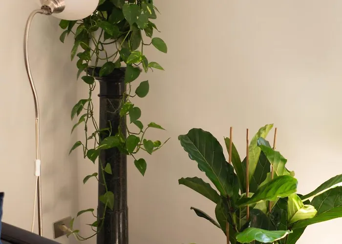 Apartamento Oasi Artistica A Trastevere